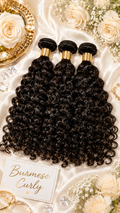 Burmese Curly